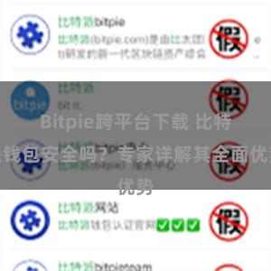 Bitpie跨平台下载 比特派钱包安全吗？专家详解其全面优势