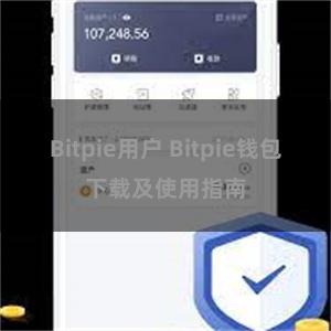 Bitpie用户 Bitpie钱包下载及使用指南