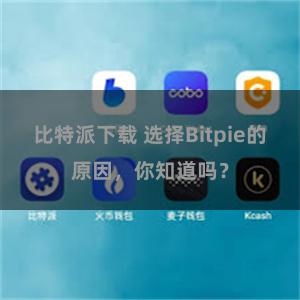 比特派下载 选择Bitpie的原因，你知道吗？