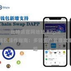 比特派官网地址 Bitpie钱包操作指南：多链资产管理攻略