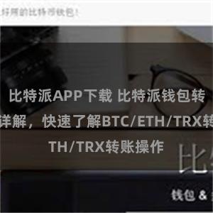 比特派APP下载 比特派钱包转账教程详解，快速了解BTC/ETH/TRX转账操作