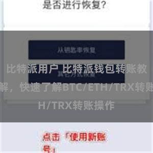 比特派用户 比特派钱包转账教程详解，快速了解BTC/ETH/TRX转账操作