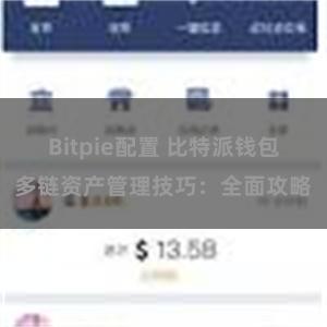 Bitpie配置 比特派钱包多链资产管理技巧：全面攻略