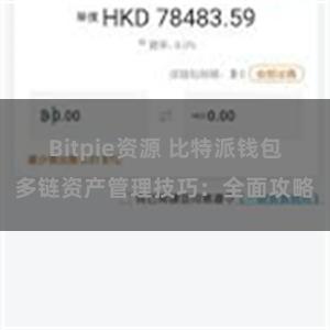 Bitpie资源 比特派钱包多链资产管理技巧：全面攻略