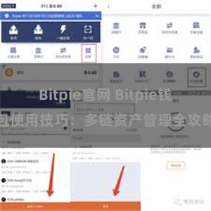 Bitpie官网 Bitpie钱包使用技巧：多链资产管理全攻略