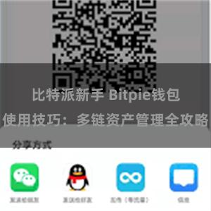 比特派新手 Bitpie钱包使用技巧：多链资产管理全攻略