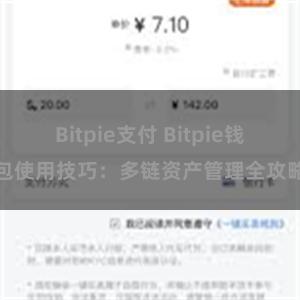 Bitpie支付 Bitpie钱包使用技巧：多链资产管理全攻略