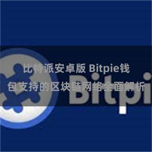 比特派安卓版 Bitpie钱包支持的区块链网络全面解析