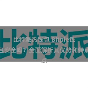 比特派热钱包 Bitpie钱包安全吗？全面解析其优势和特点