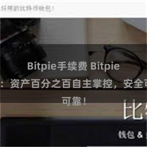 Bitpie手续费 Bitpie钱包：资产百分之百自主掌控，安全可靠！