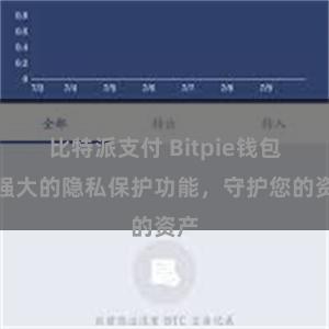 比特派支付 Bitpie钱包：强大的隐私保护功能，守护您的资产