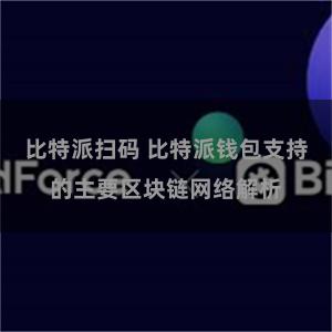 比特派扫码 比特派钱包支持的主要区块链网络解析