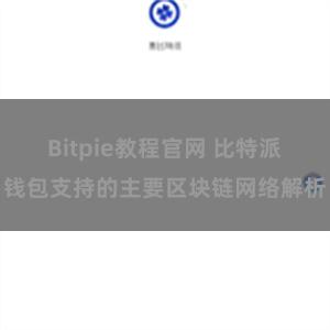 Bitpie教程官网 比特派钱包支持的主要区块链网络解析