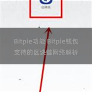 Bitpie功能 Bitpie钱包支持的区块链网络解析