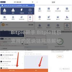 Bitpie新手 Bitpie钱包支持的区块链网络解析