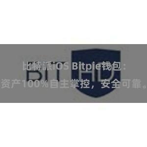 比特派iOS Bitpie钱包：资产100%自主掌控，安全可靠。