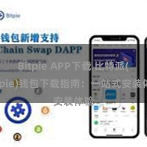 Bitpie APP下载 比特派(Bitpie)钱包下载指南：一站式安装体验