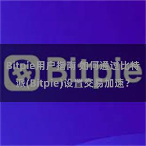 Bitpie用户指南 如何通过比特派(Bitpie)设置交易加速？