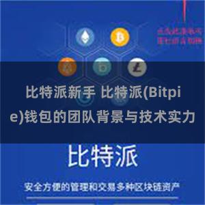 比特派新手 比特派(Bitpie)钱包的团队背景与技术实力