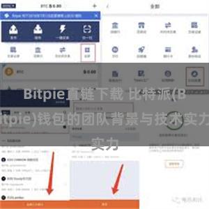 Bitpie直链下载 比特派(Bitpie)钱包的团队背景与技术实力