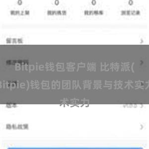 Bitpie钱包客户端 比特派(Bitpie)钱包的团队背景与技术实力