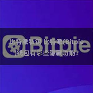 比特派私钥 比特派(Bitpie)钱包有哪些隐藏功能？