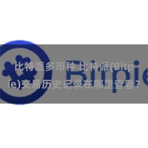 比特派多币种 比特派(Bitpie)交易历史记录在哪里查看？