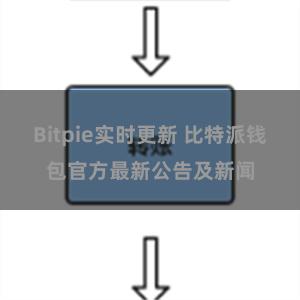 Bitpie实时更新 比特派钱包官方最新公告及新闻