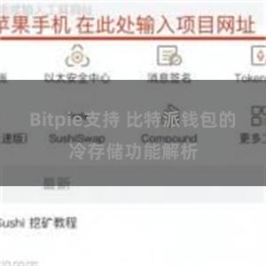 Bitpie支持 比特派钱包的冷存储功能解析