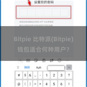 Bitpie 比特派(Bitpie)钱包适合何种用户？