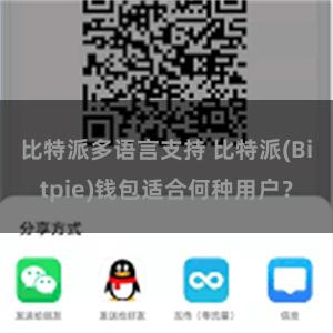 比特派多语言支持 比特派(Bitpie)钱包适合何种用户？