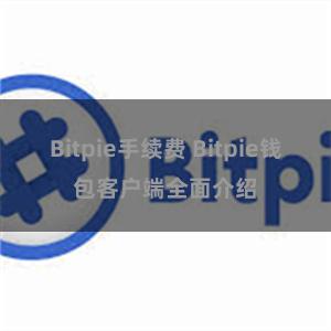 Bitpie手续费 Bitpie钱包客户端全面介绍