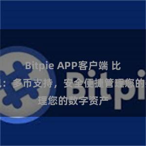 Bitpie APP客户端 比特派钱包：多币支持，安全便捷管理您的数字资产