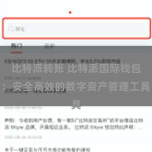 比特派转账 比特派国际钱包：安全高效的数字资产管理工具