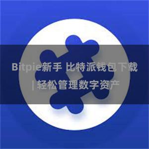 Bitpie新手 比特派钱包下载 | 轻松管理数字资产